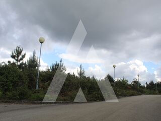 -205575268_IDa6e30e01-0000-0500-0000-00000ae4edb3.jpg