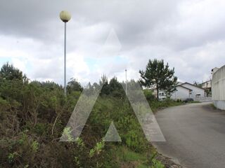 -205575268_IDa6e30e01-0000-0500-0000-00000ae4edb8.jpg