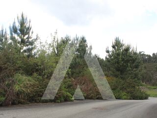 -205575268_IDa6e30e01-0000-0500-0000-00000ae4edba.jpg