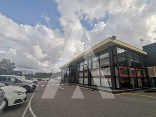 -209871107_ID793e5f01-0000-0500-0000-0000103f72b7.jpg