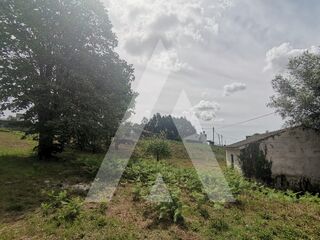 -210392502_ID75a56b01-0000-0500-0000-00001155f5d7.jpg