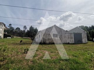 -210392502_ID75a56b01-0000-0500-0000-00001155f5d8.jpg