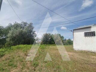 -210392502_ID75a56b01-0000-0500-0000-00001155f5dc.jpg