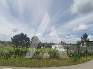 -210392502_ID75a56b01-0000-0500-0000-00001155f5df.jpg