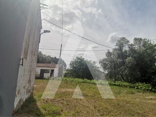 -210392502_ID75a56b01-0000-0500-0000-00001155f5ed.jpg