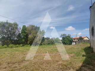 -210392502_ID75a56b01-0000-0500-0000-00001155f5f2.jpg