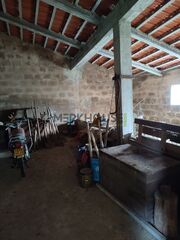 -706140606_zt5pait87jsm7t4o.jpg