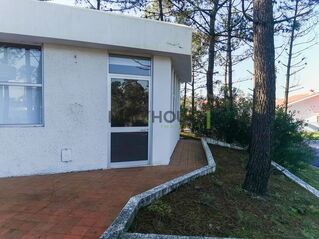 -706142695_1czg7x42ku14t21q.jpg