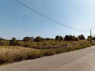-210934090_IDd0097701-0000-0500-0000-00001382771e.jpg