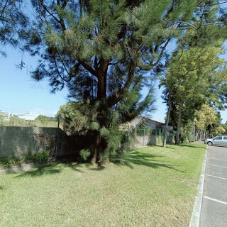 -210934090_IDd0097701-0000-0500-0000-00001382772a.jpg