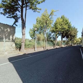 -210934090_IDd0097701-0000-0500-0000-00001382772b.jpg
