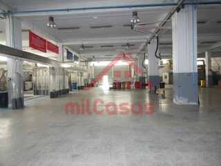 -211584702_IDe3687d01-0000-0500-0000-000013fc7bc9.jpg