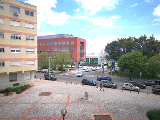 -33064822_wm-e09bb881b4-4dcaa63987.webp