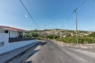 -213193981_ID166f9e01-0000-0500-0000-000015ccbe88.jpg