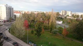 -80057414_39130_8aa994c