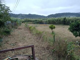 -80057423_39200_c5c7010