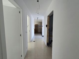 -80058922_40365_1ec2a1b