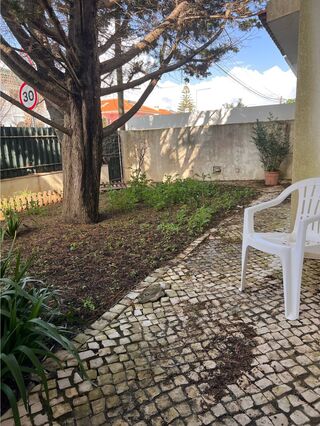 -212978150_IDf6d79a01-0000-0500-0000-000015864b25.jpg