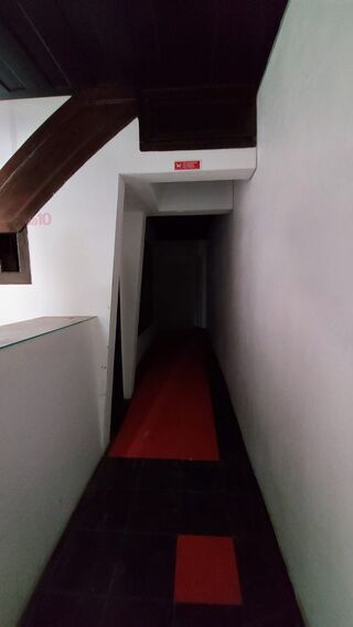 -205612212_ID12760f01-0000-0500-0000-00000b0a8a83.jpg