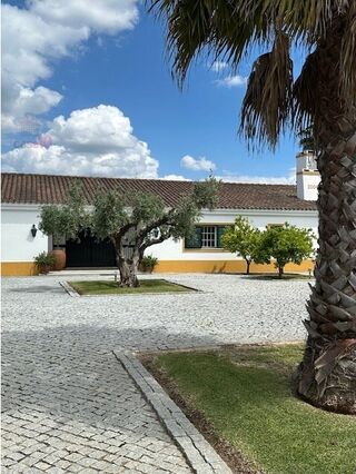 -212964928_IDa59f9a01-0000-0500-0000-0000159449df.jpg
