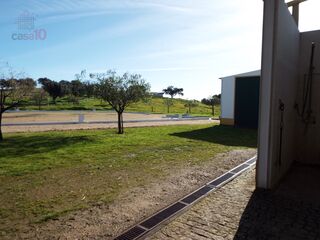 -212964928_IDa59f9a01-0000-0500-0000-000015944a01.jpg