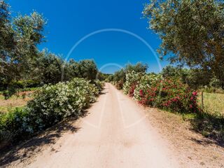 -206813574_IDf83c0701-0000-0500-0000-00000f886c22.jpg