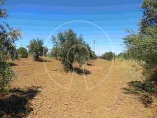 -208757450_ID77884601-0000-0500-0000-00000e945dca.jpg