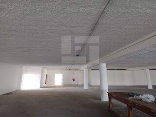-211547825_ID982a8301-0000-0500-0000-000013e2e057.jpg