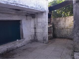 -212861299_ID83d79801-0000-0500-0000-0000156c4291.jpg