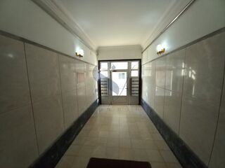 -210116082_ID38aa6501-0000-0500-0000-000010cfb424.jpg