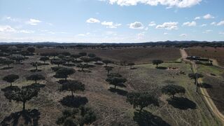 -211547701_IDa8238301-0000-0500-0000-000013e206f3.jpg
