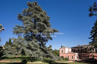 -69023347_QtaEspanhola-32.jpg