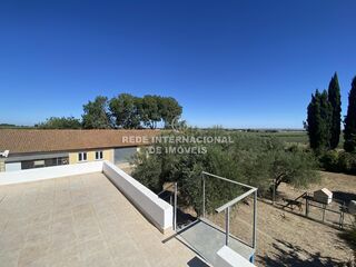 -69030748_IMG_0065_1695027319079.JPG