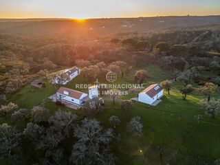 -69031698_DJI_0006_1706270280262.jpg