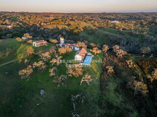 -69031698_DJI_0011_1706270280263.jpg