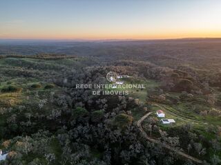-69031698_DJI_0017_1706270280263.jpg