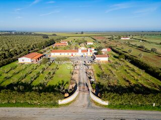 -69032032_DJI_0171_1708296468359.jpg
