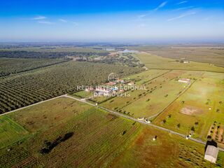 -69032032_DJI_0173_1708296468359.jpg