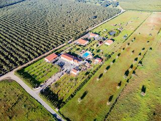 -69032032_DJI_0175_1708296468360.jpg