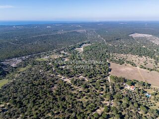 -69032485_DJI_0101_1711811851282.jpg
