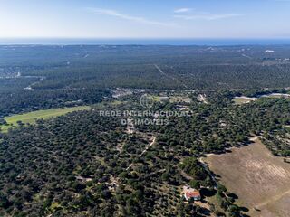-69032485_DJI_0104_1711811851283.jpg