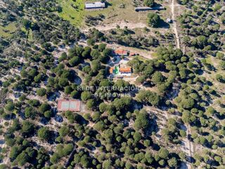 -69032485_DJI_0106_1711811851284.jpg
