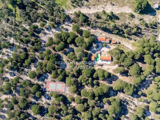 -69032485_DJI_0110_1711811851285.jpg
