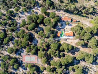 -69032485_DJI_0112_1711811851286.jpg