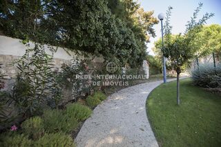 -69032693_quinta-da-martinha-7e3c6b14-032e-4054-bc3f-f037d19a906a.JPG