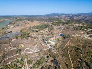 -69033266_DJI_0496_1725528606865.jpg