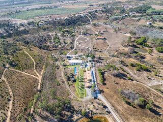 -69033266_DJI_0502_1725528606865.jpg