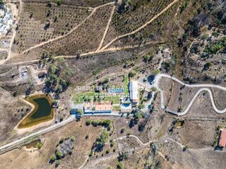 -69033266_DJI_0506_1725528606866.jpg