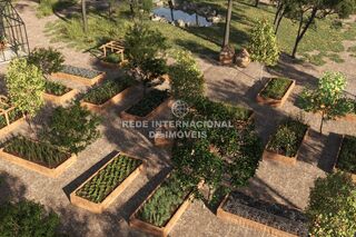 -69033340_021HORTAS_Post_1713346220252.jpg