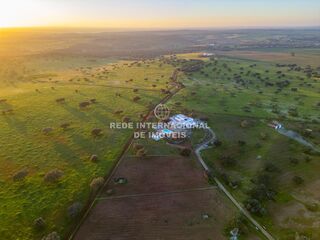 -69033721_DJI_0247_1715357212393.jpg